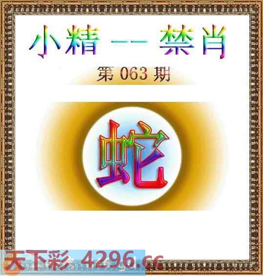 ：小精禁肖